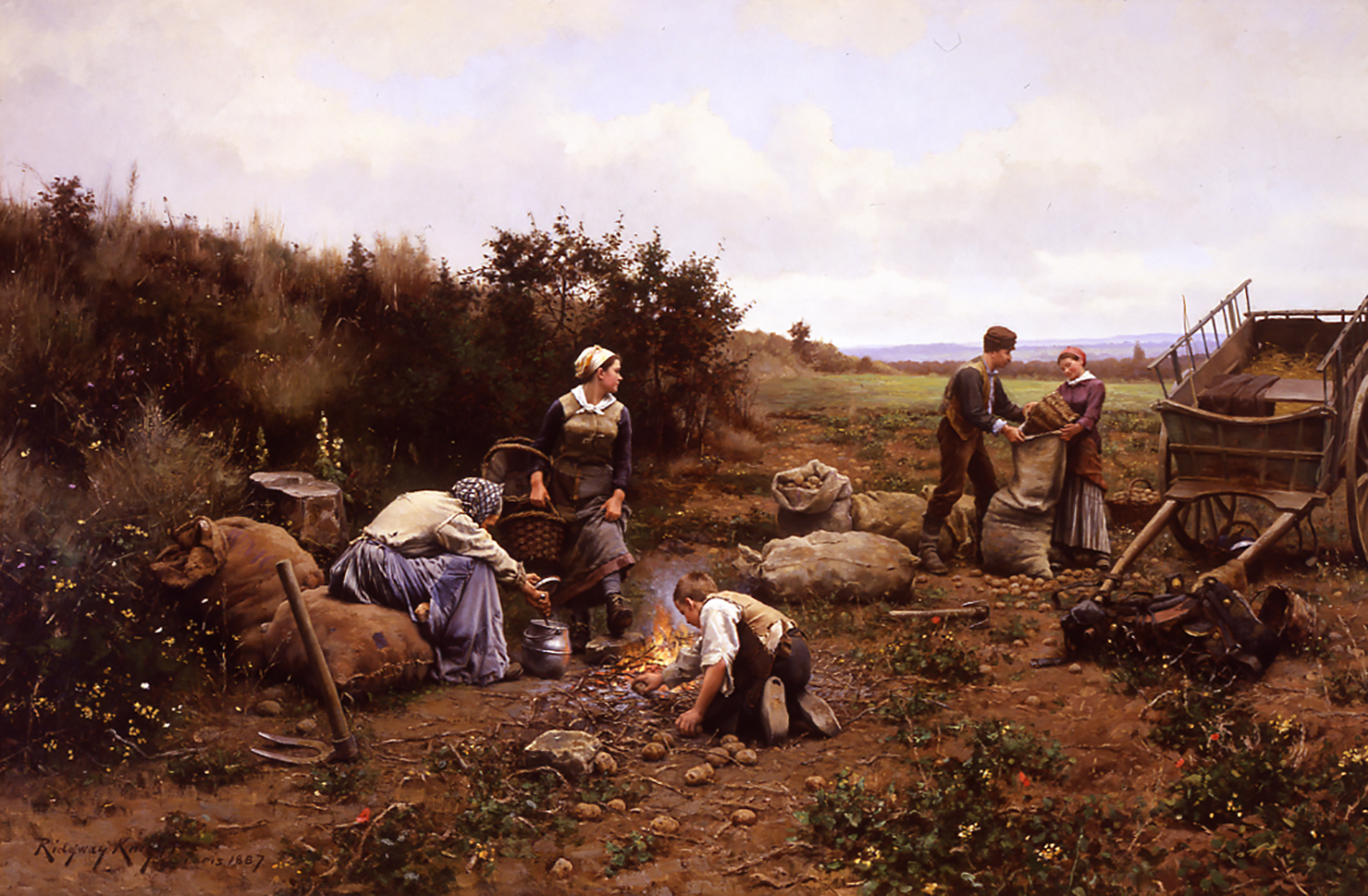 people in a field having lunch