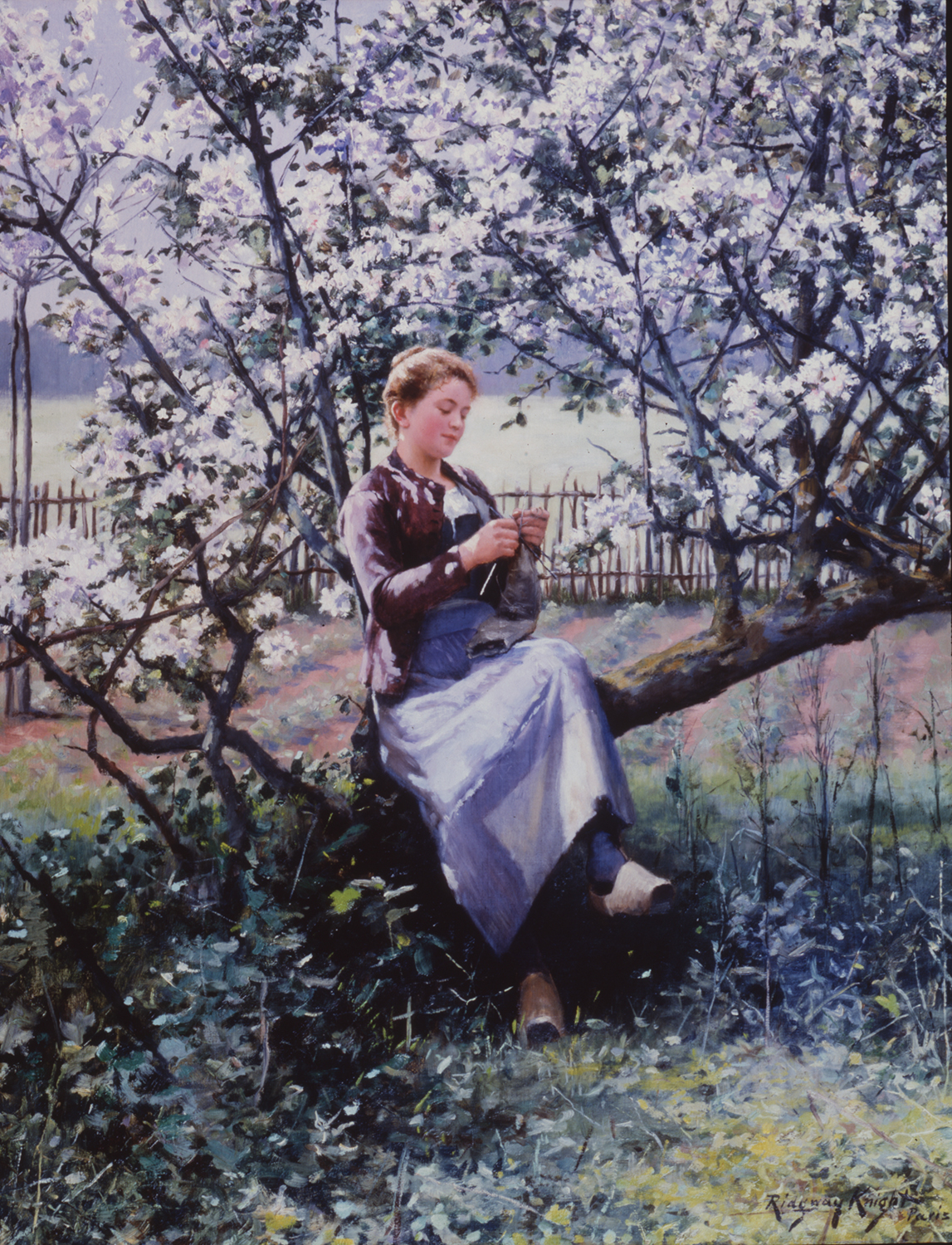 Woman seated in an apple tree knitting