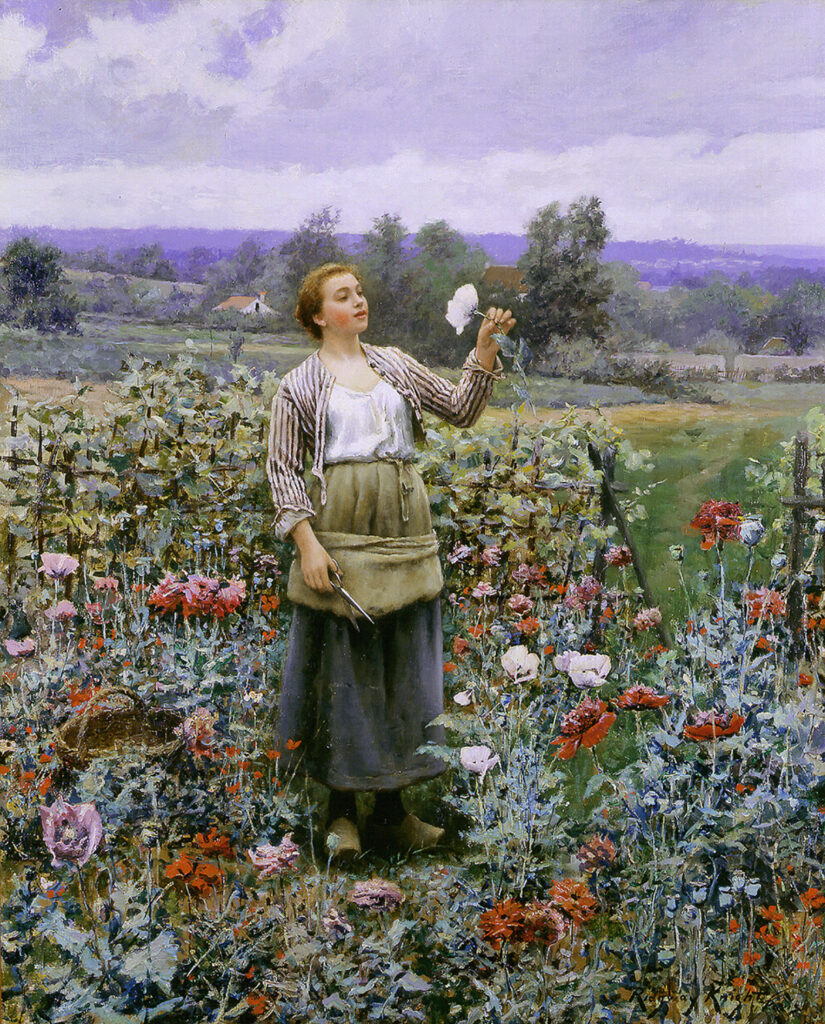 Woman in a garden holding a poppy