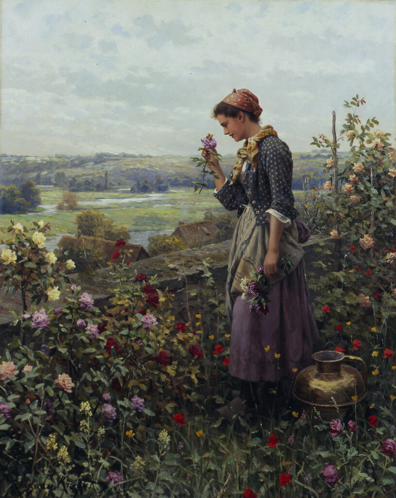 Woman gathering Roses